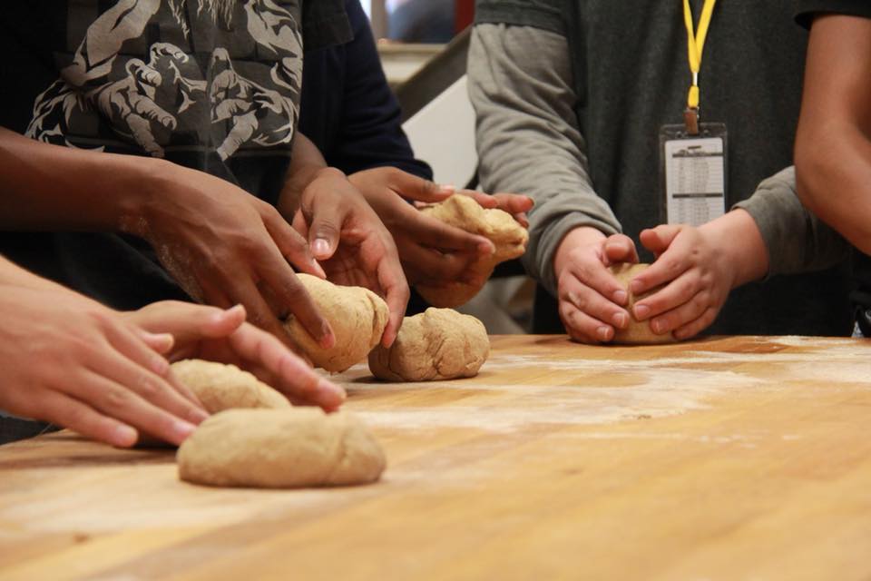 kneading white sonoran wheat