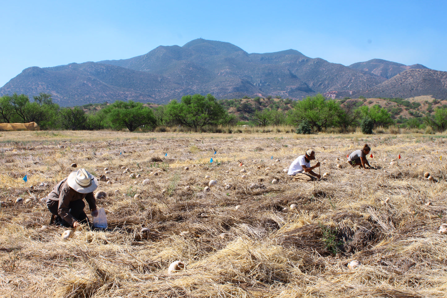 News from the Conservation Farm: Apprentice Updates