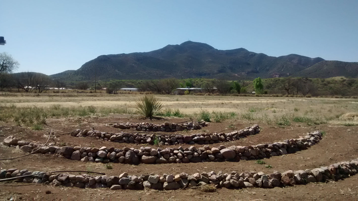 Updates from the Conservation Farm: Spring Growout