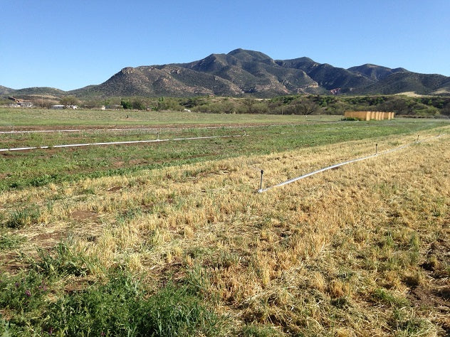Farming for Resiliency at the NS/S Conservation Farm