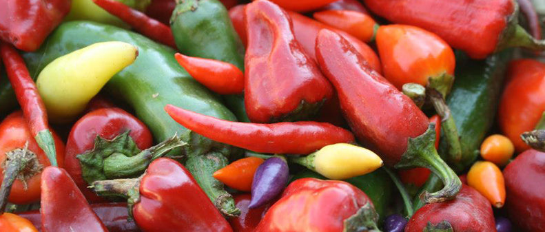 Recovering and Reviving Our Original Diet