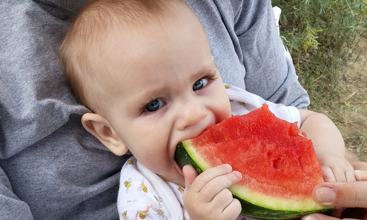 How to Save Watermelon Seeds