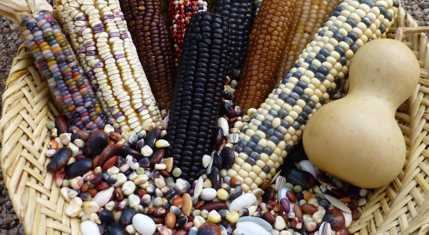 Varieties for Heritage Gardens