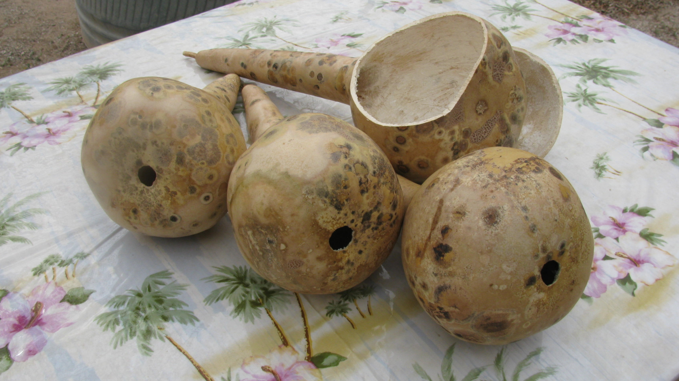 How to Clean Gourds