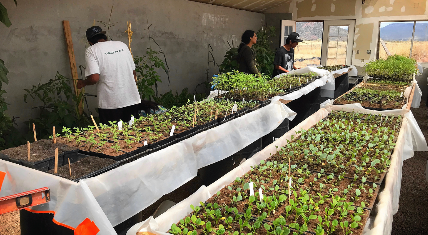 Trip Report: Supporting Native Farmers