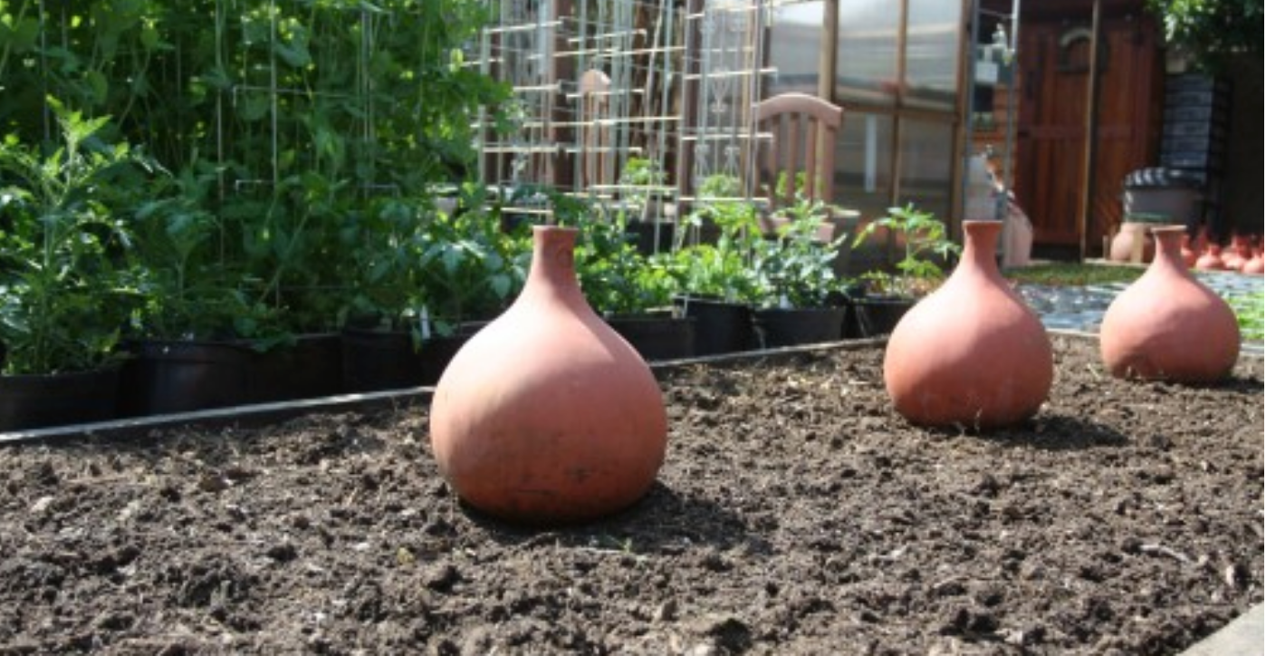 How to Use Olla Irrigation