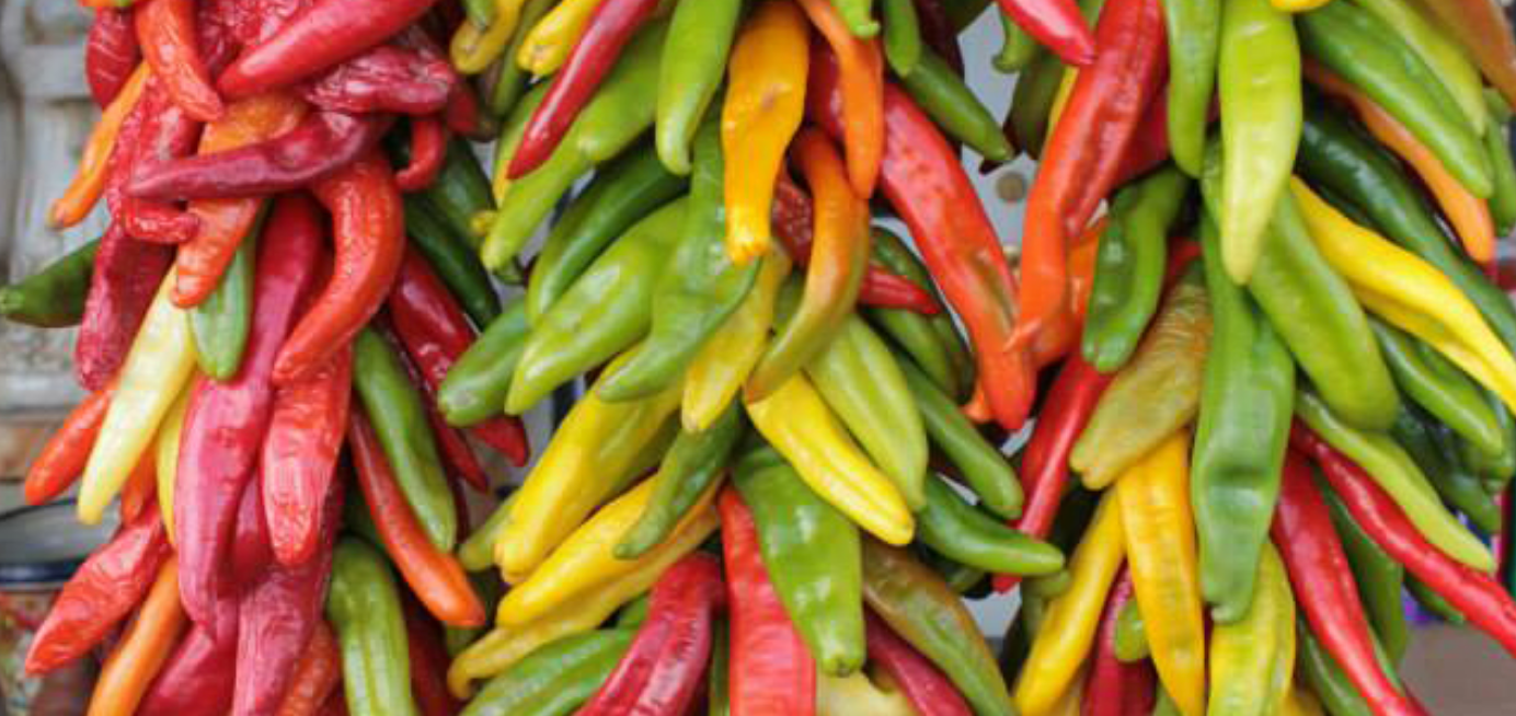 All About Chiles