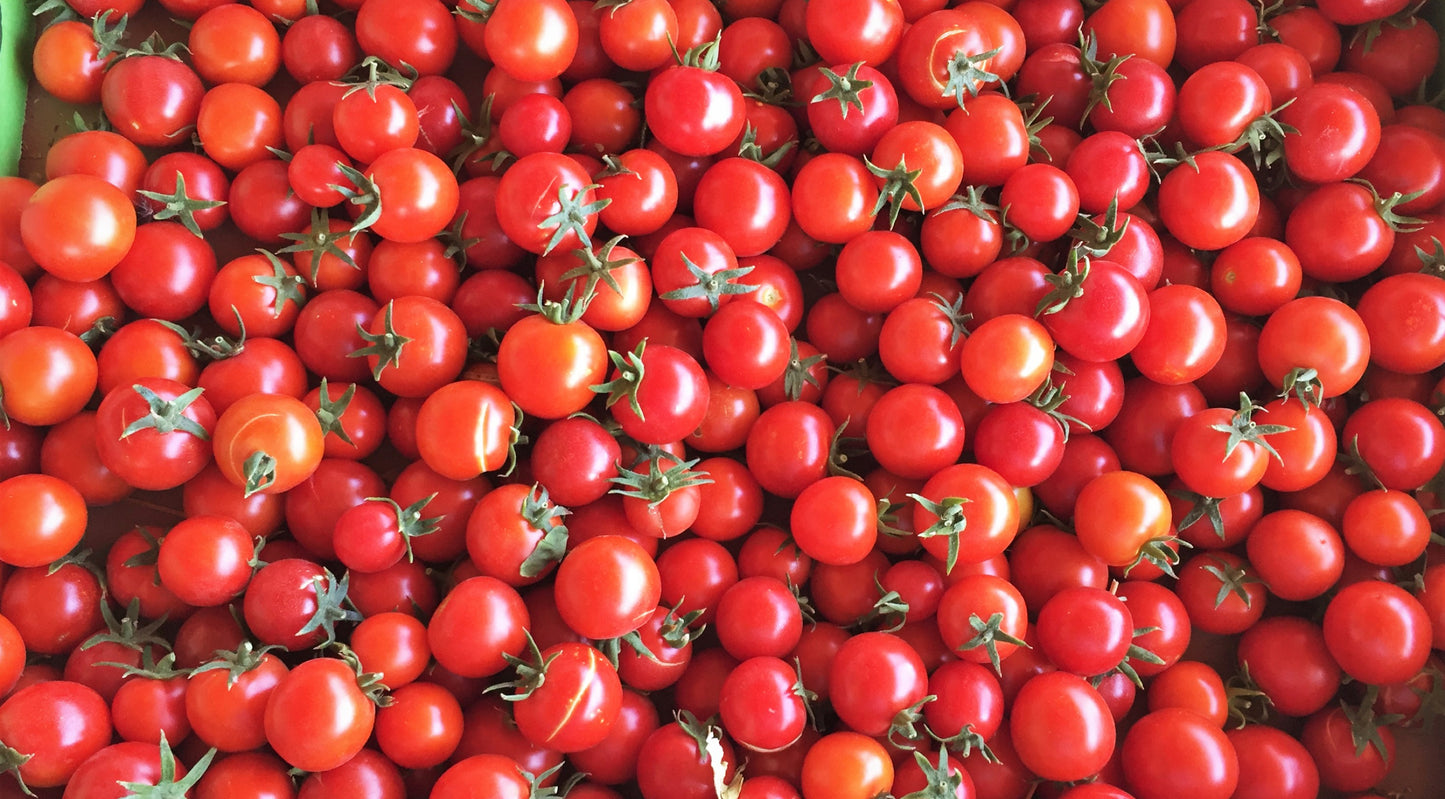 How to Save Your Tomato Seeds