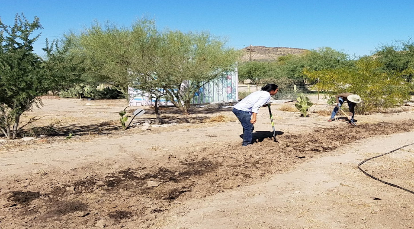 Community Partner Highlight: Las Milpitas Farm