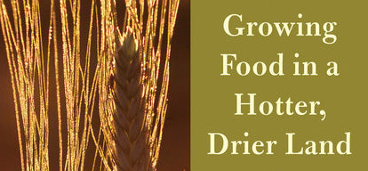 Heat and Drought Tolerant Varieties from NS/S