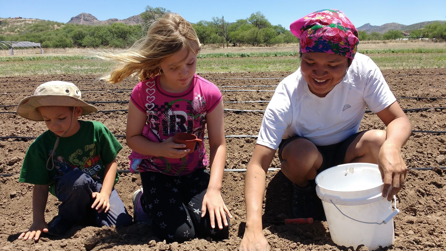 Conservation Farm Updates: May 2017