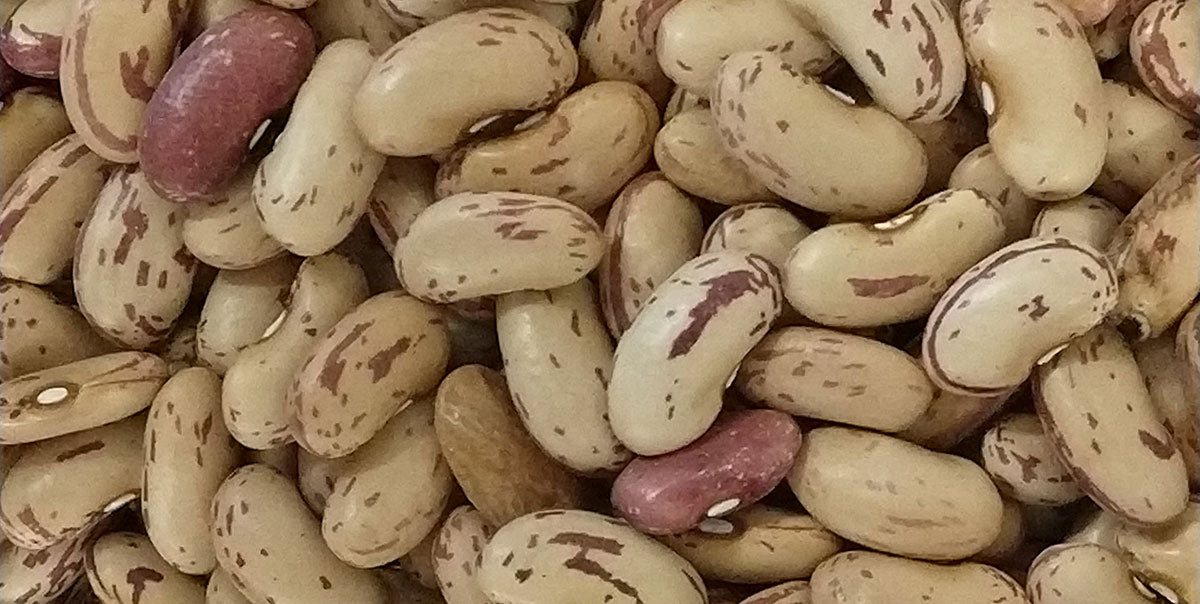 Will This Seed Grow Where I live?
