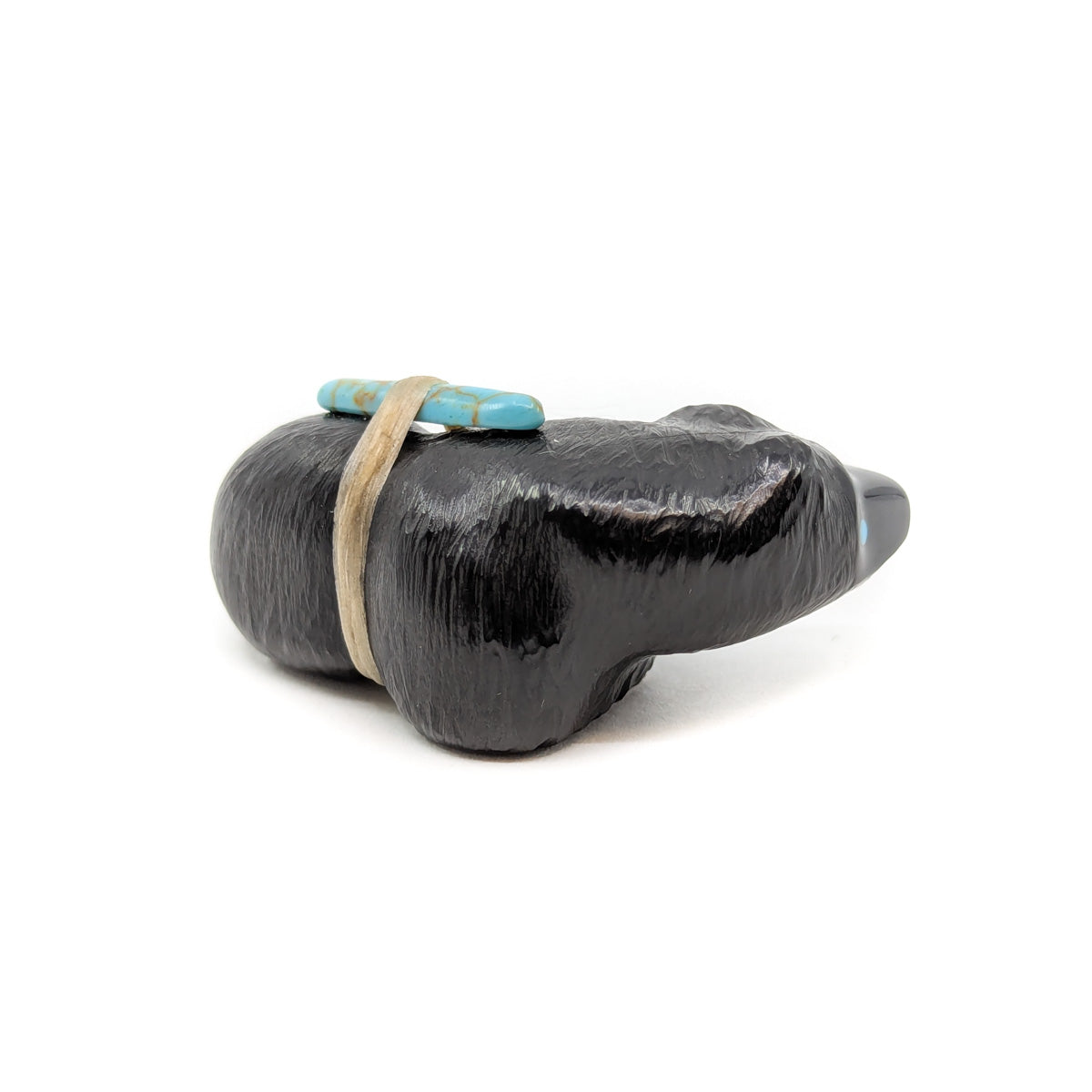 Black Bear with Turquoise Eyes