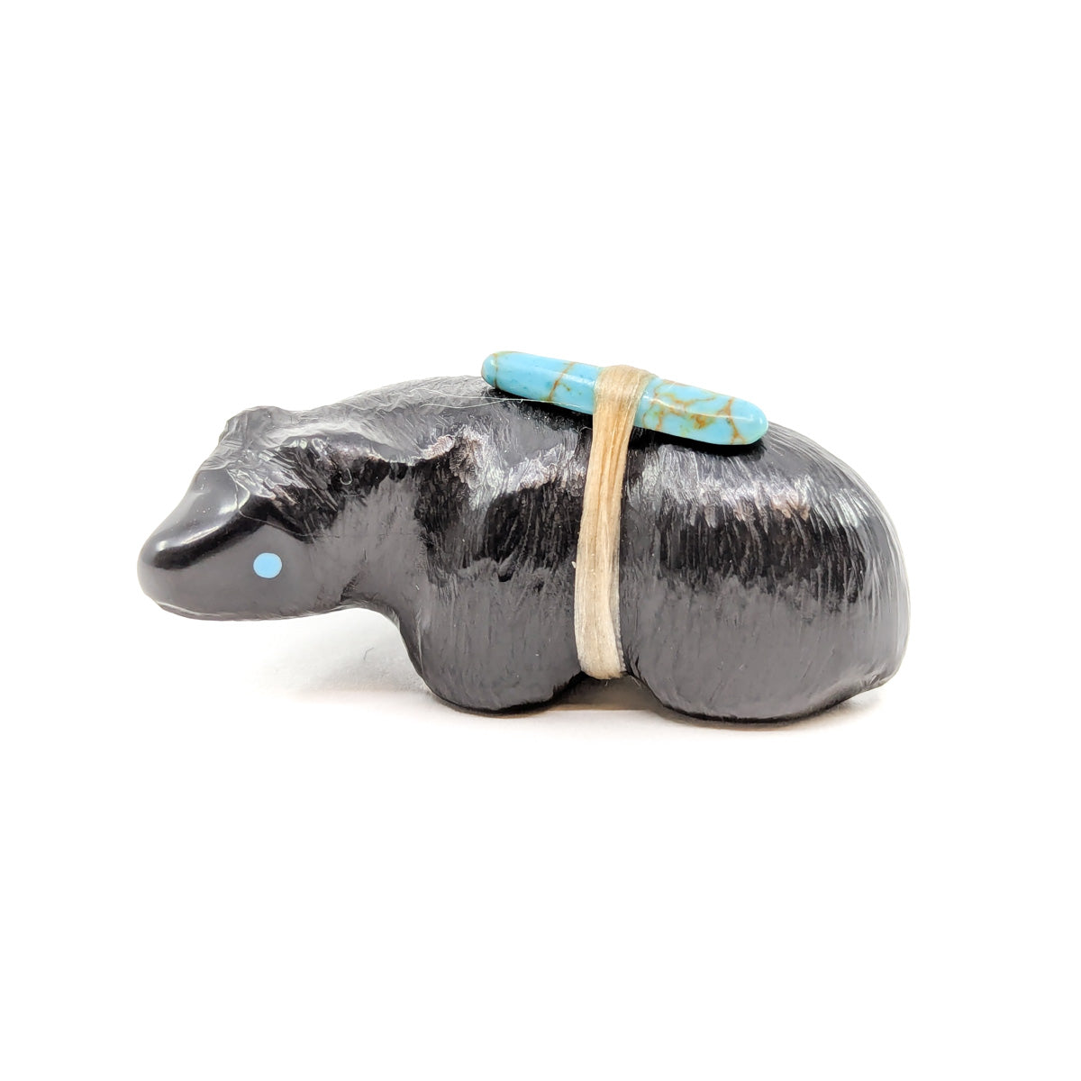 Black Bear with Turquoise Eyes