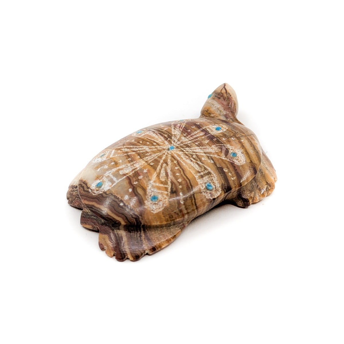 Desert Tortoise with Etching and Turquoise Accents