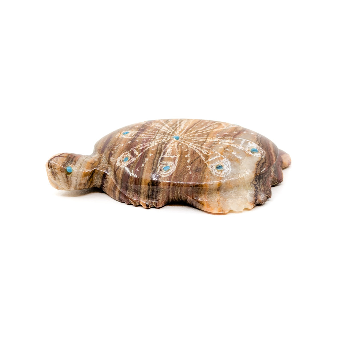 Desert Tortoise with Etching and Turquoise Accents
