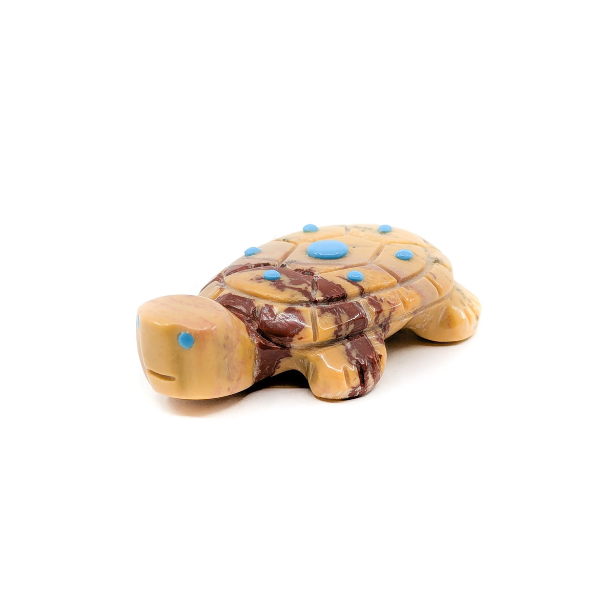 Cute Little Turtle with Turquoise Eyes and Accents