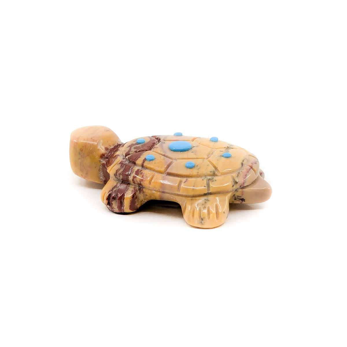 Cute Little Turtle with Turquoise Eyes and Accents