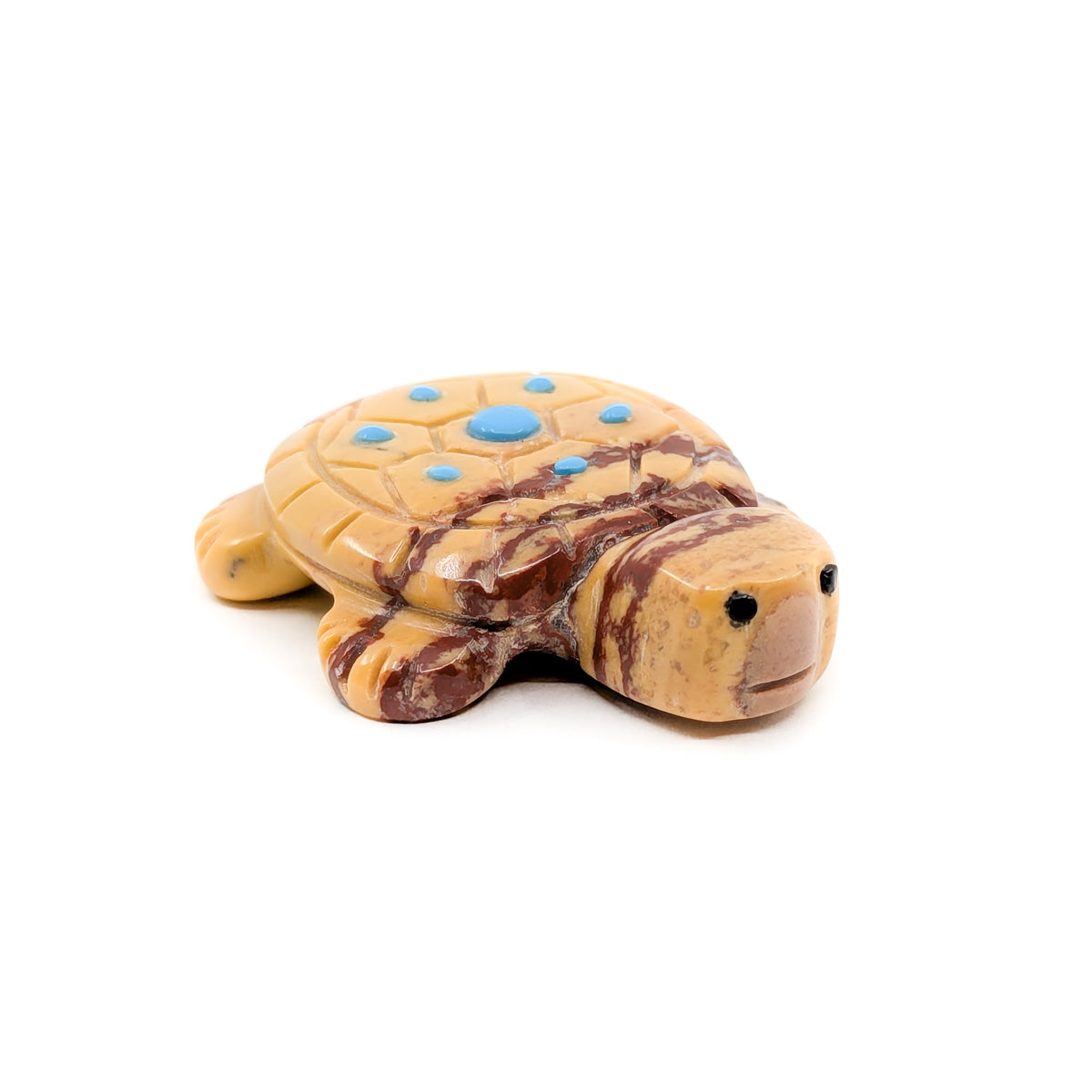 Desert Tortoise with Jet Eyes