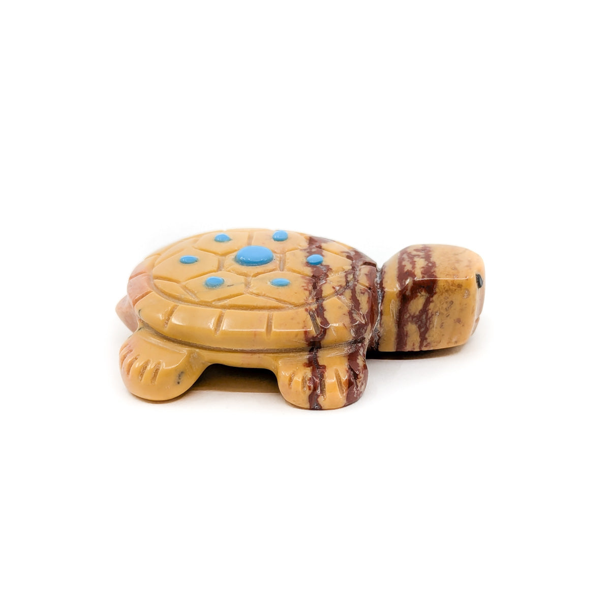 Desert Tortoise with Jet Eyes