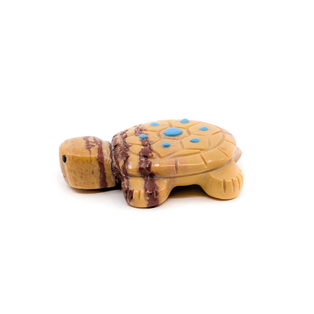 Desert Tortoise with Jet Eyes