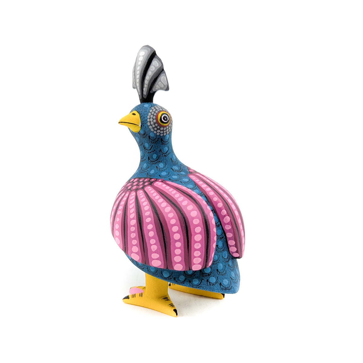 Teal Quail with Hot Pink Wings and Grey Top Knot