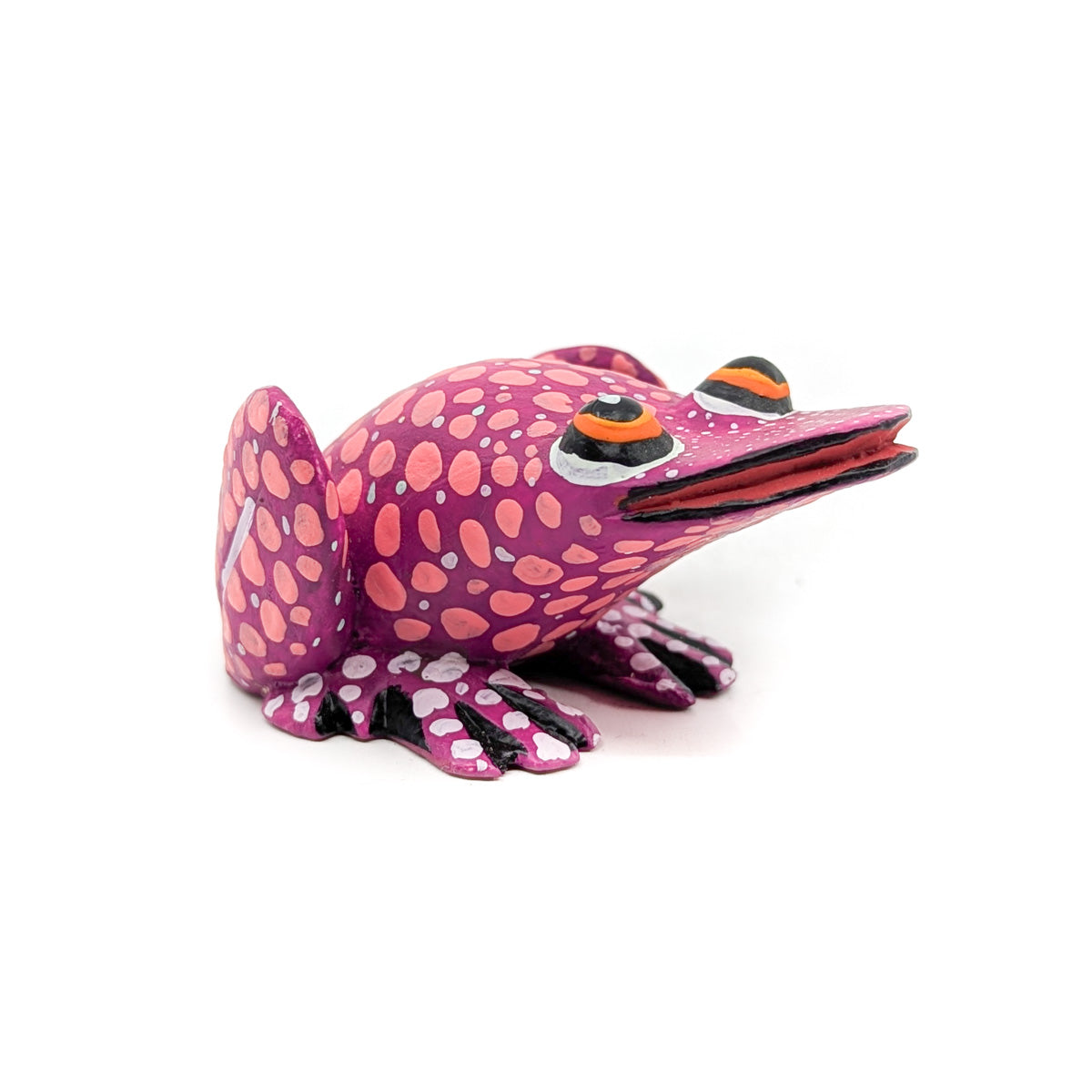 Pink Spotted Frog