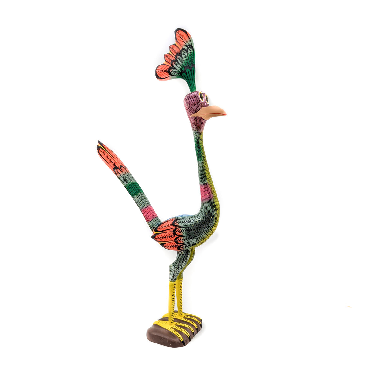 Tall Colorful Roadrunner with Shimmering Feathers