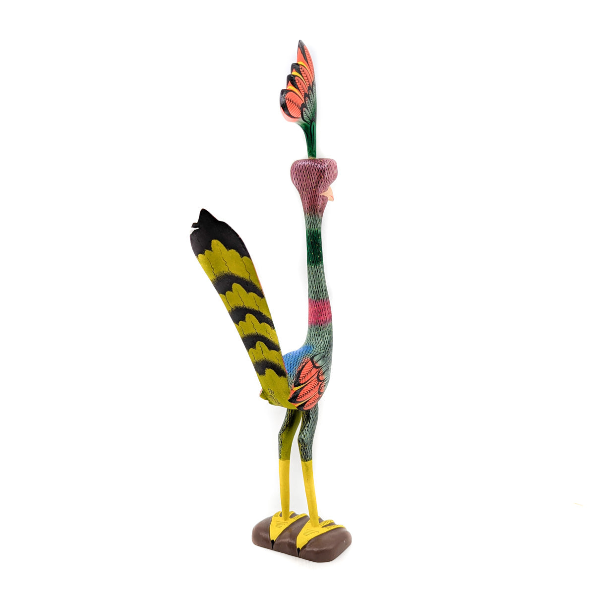 Tall Colorful Roadrunner with Shimmering Feathers