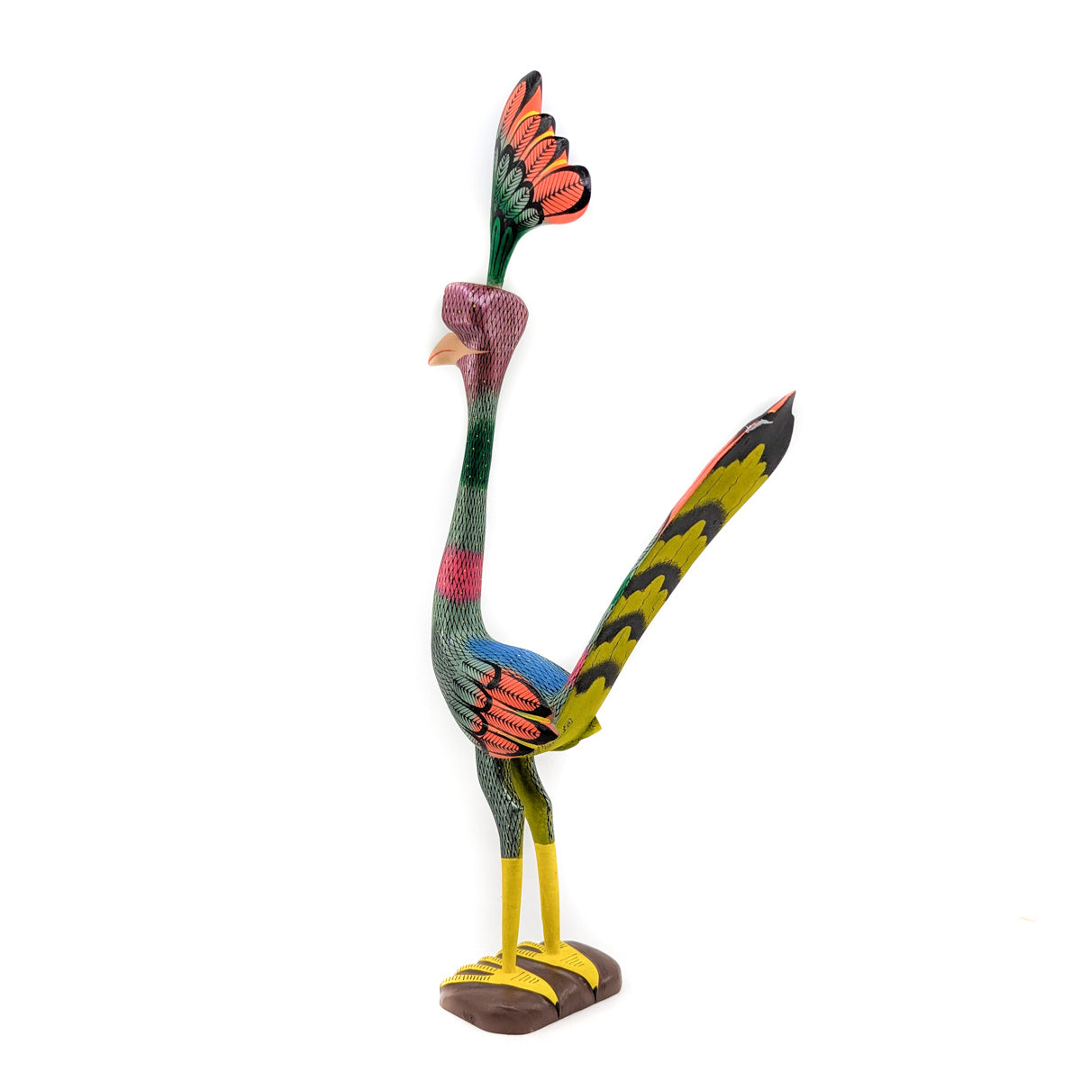 Tall Colorful Roadrunner with Shimmering Feathers