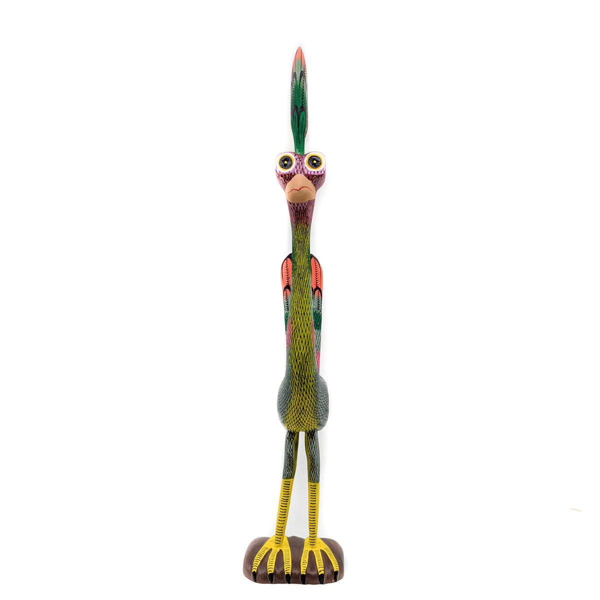 Tall Colorful Roadrunner with Shimmering Feathers