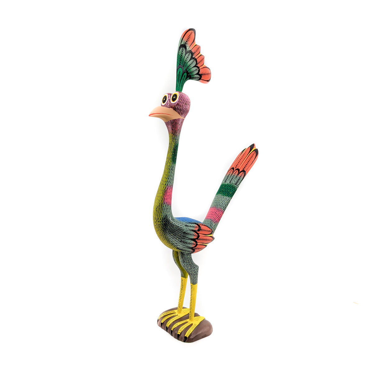 Tall Colorful Roadrunner with Shimmering Feathers