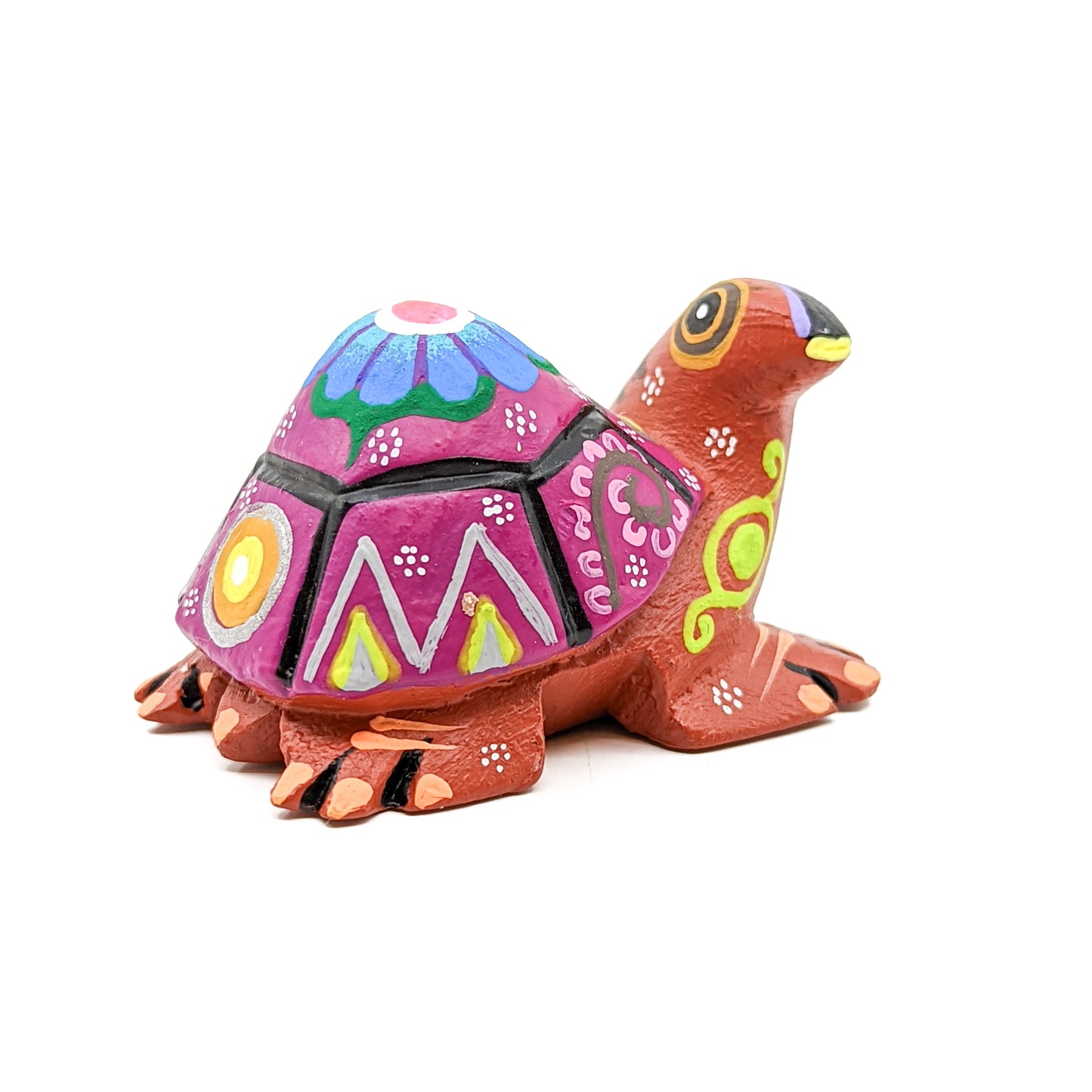 Purple Back Turtle