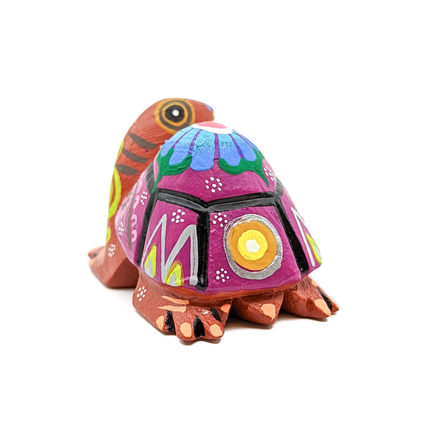 Purple Back Turtle