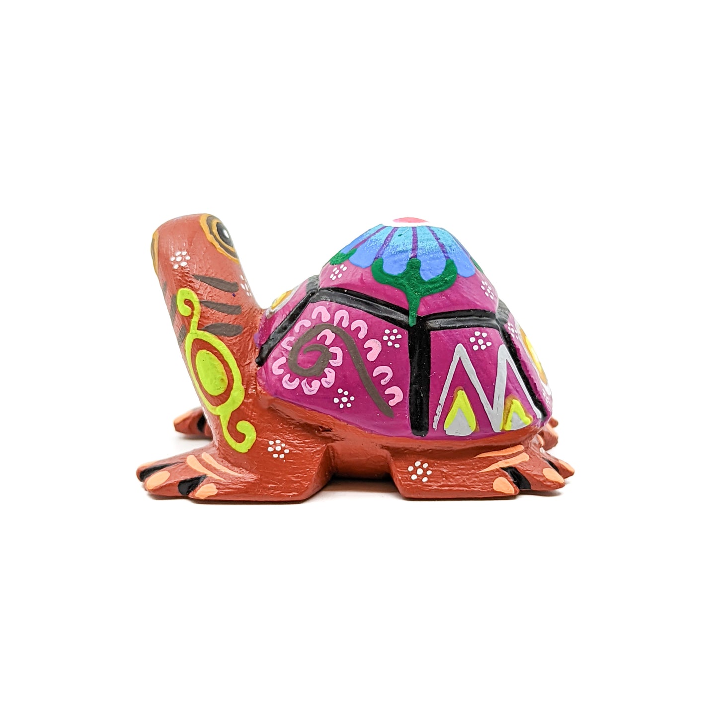 Purple Back Turtle
