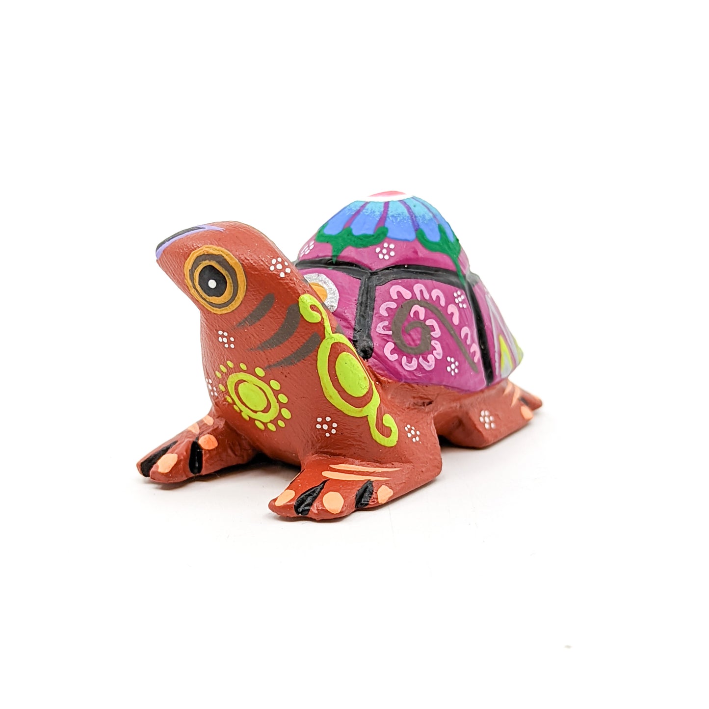 Purple Back Turtle