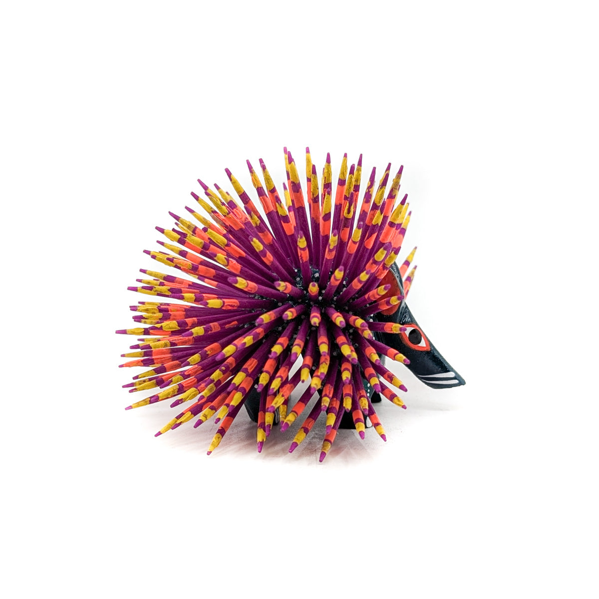 Black Porcupine with Colorful Quills