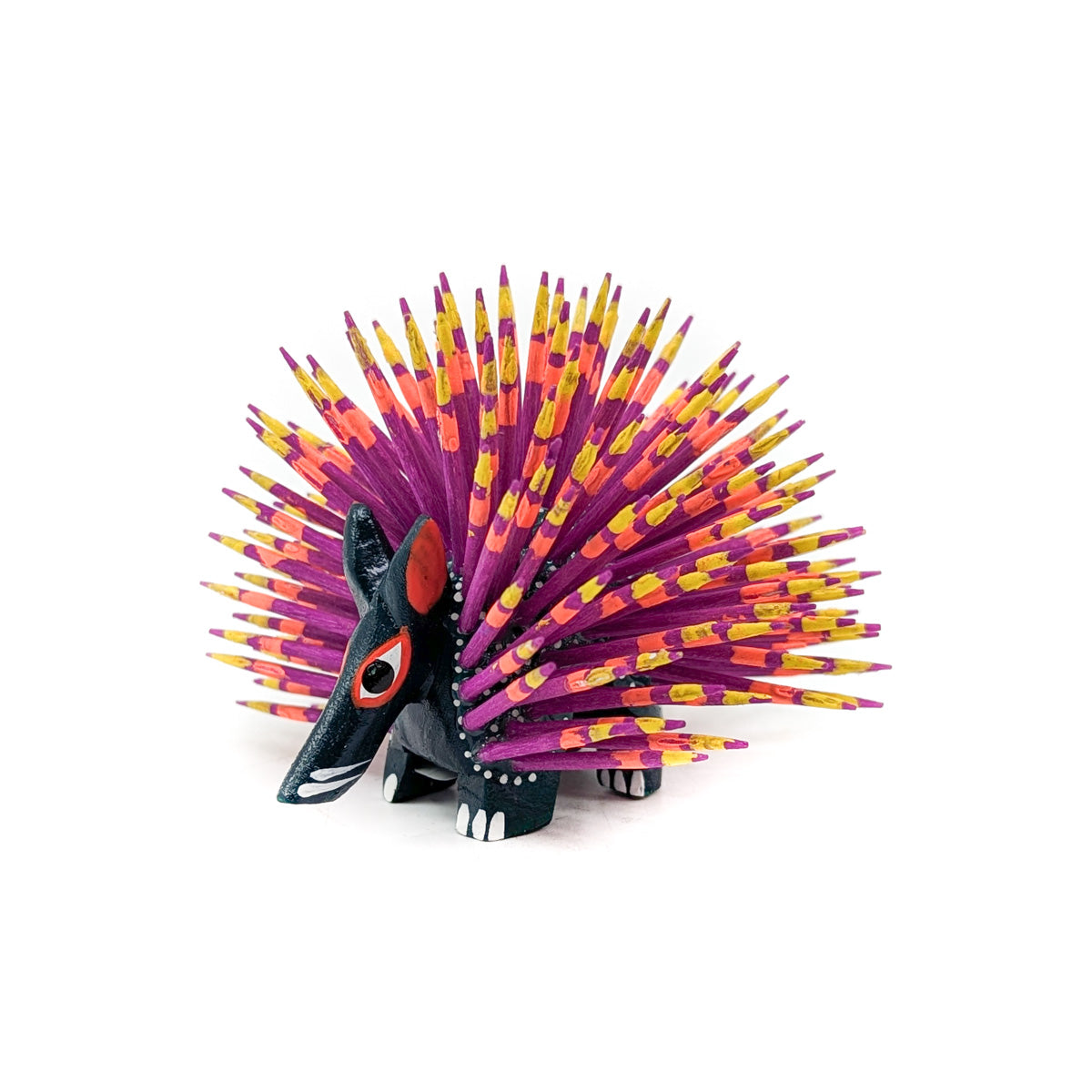 Black Porcupine with Colorful Quills