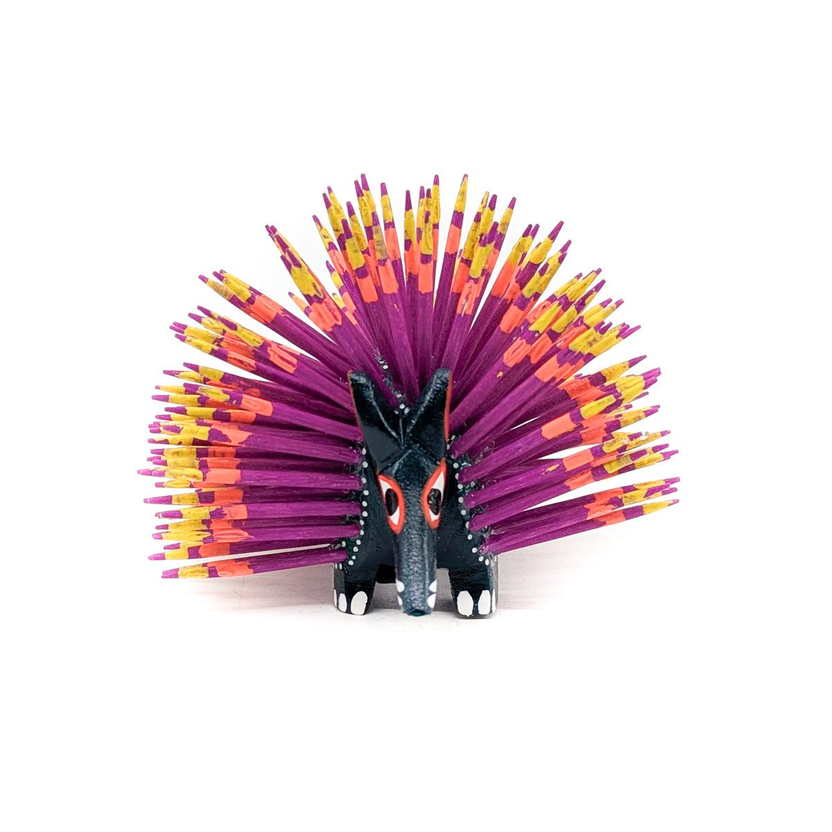 Black Porcupine with Colorful Quills