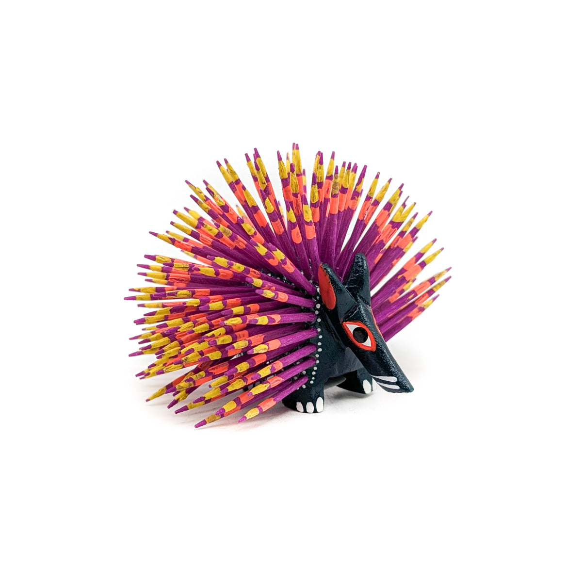 Black Porcupine with Colorful Quills
