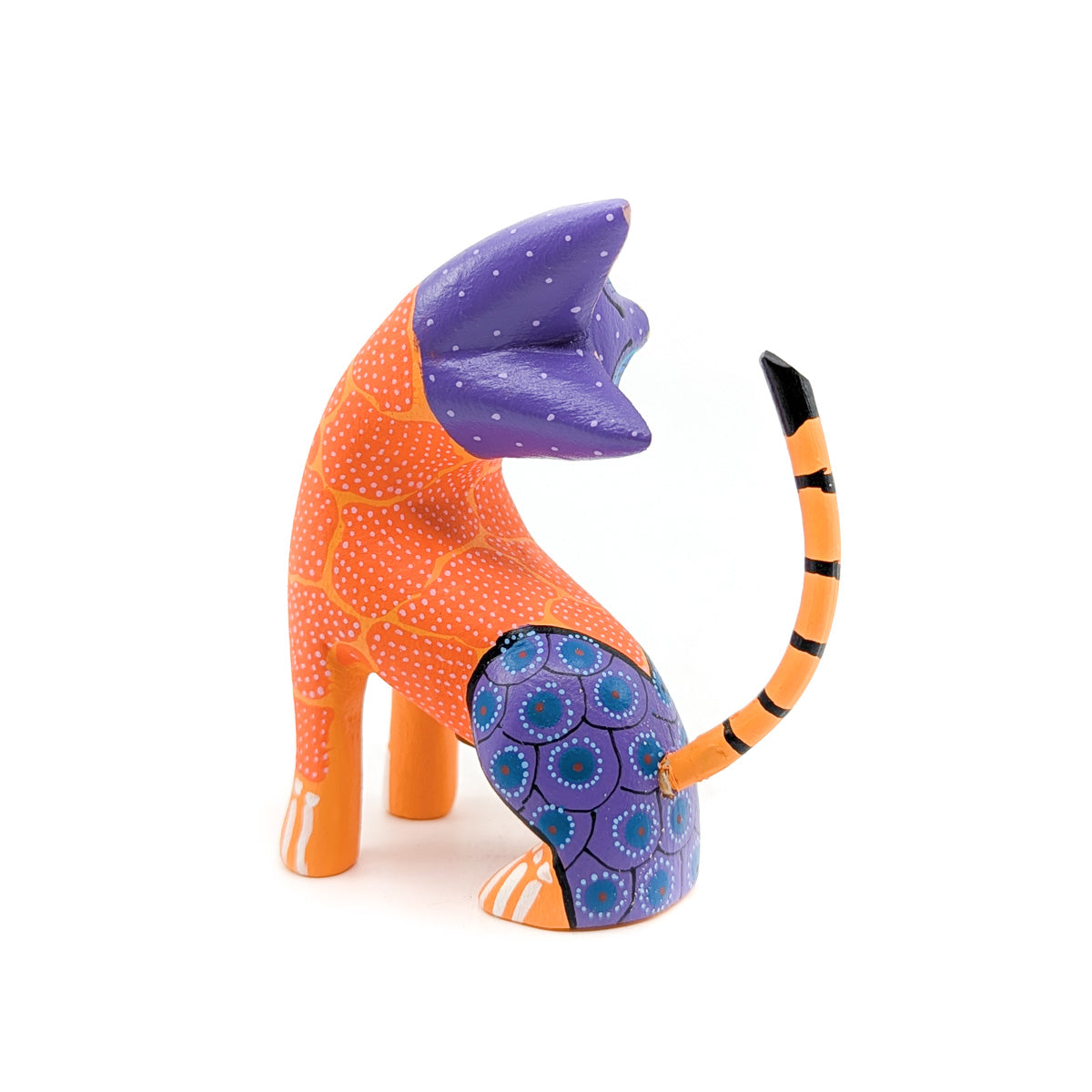 Purple and Orange Quizzical Cat
