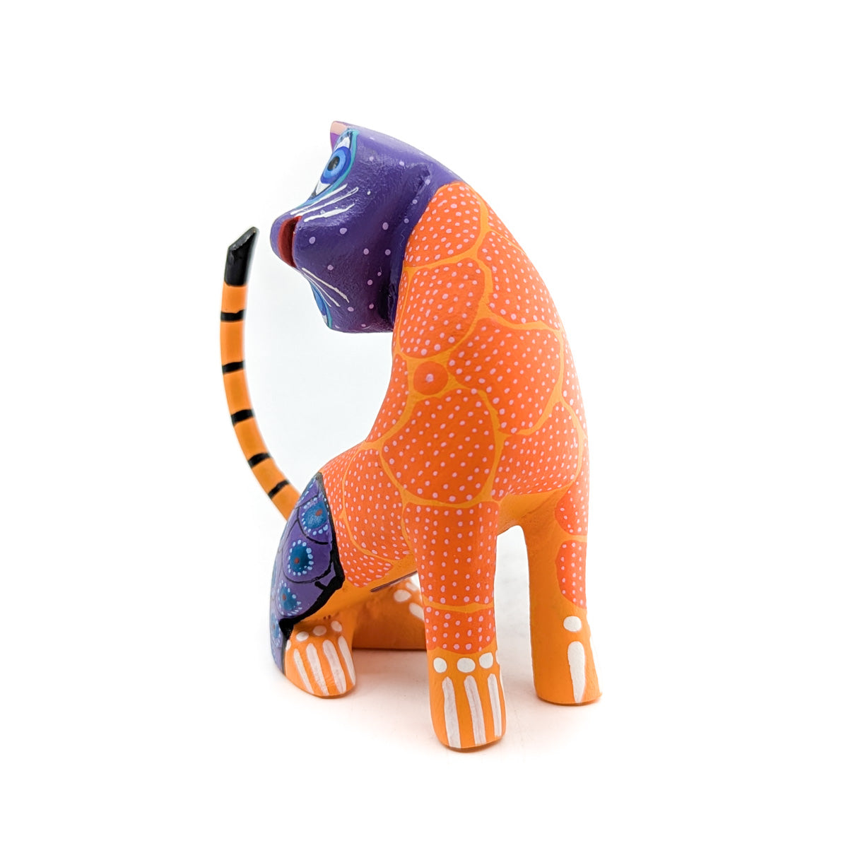 Purple and Orange Quizzical Cat