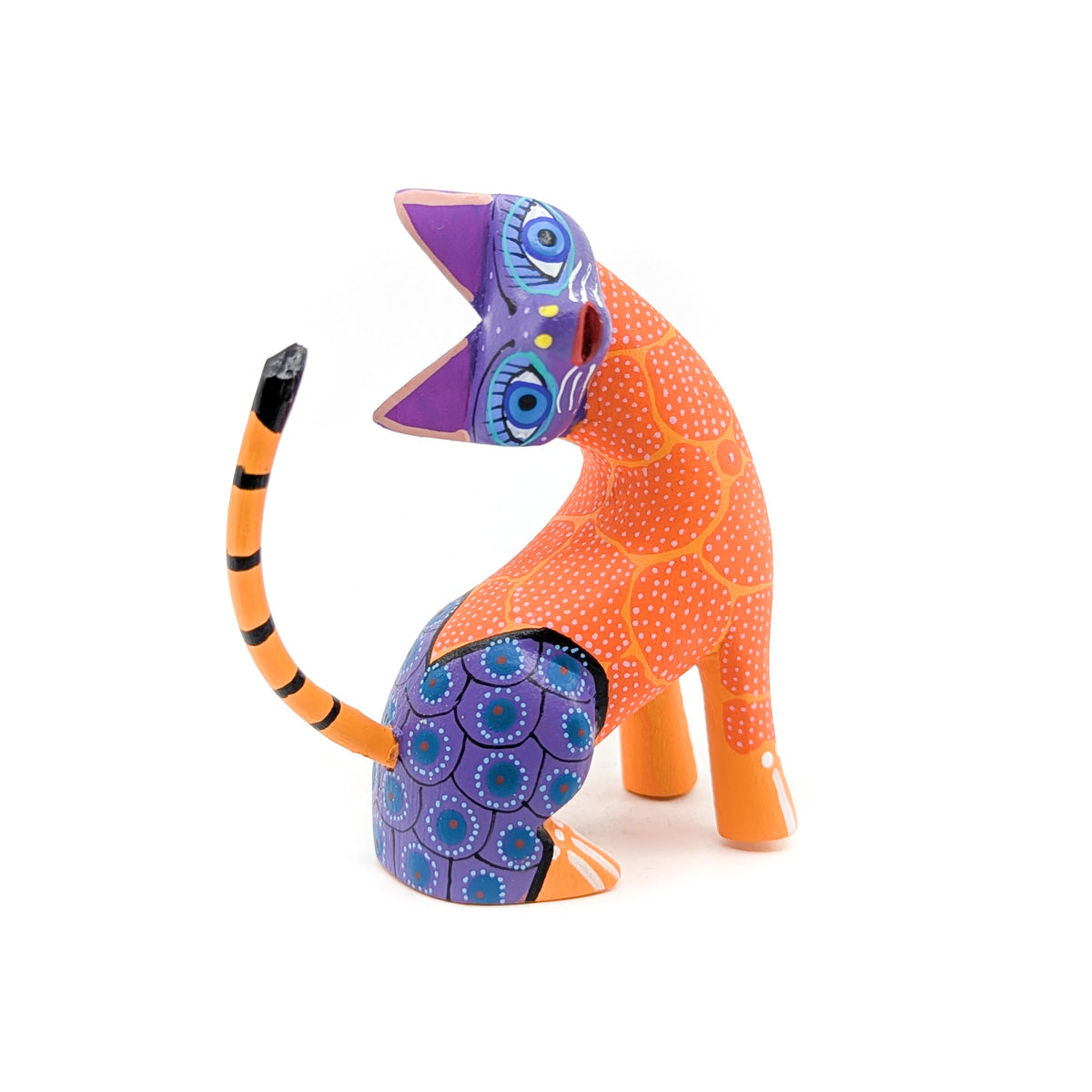 Purple and Orange Quizzical Cat