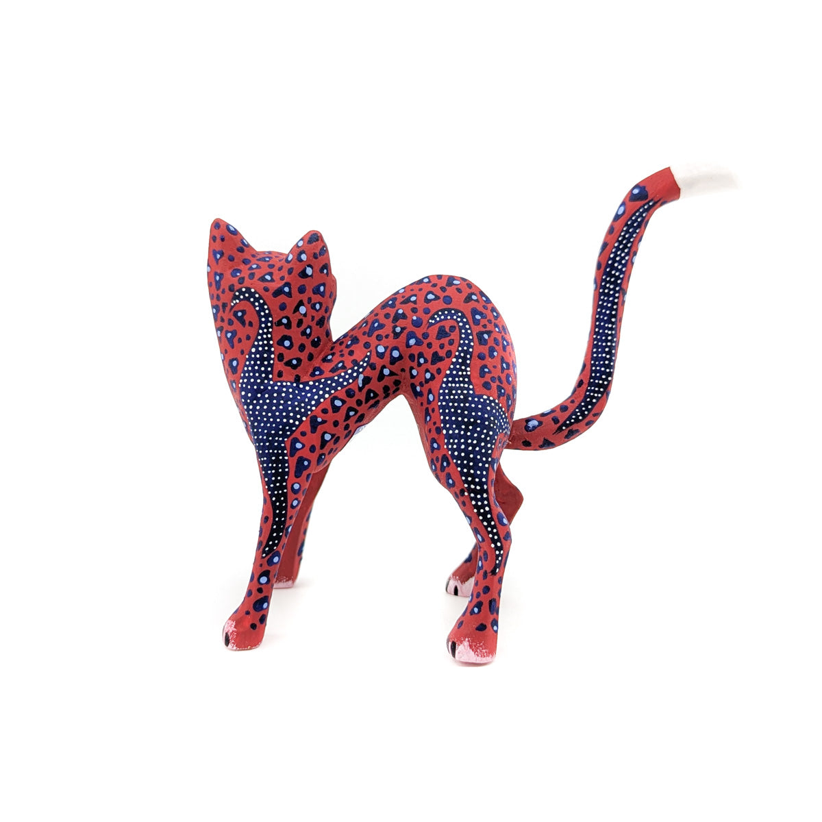 Red and Blue Arched Back Cat