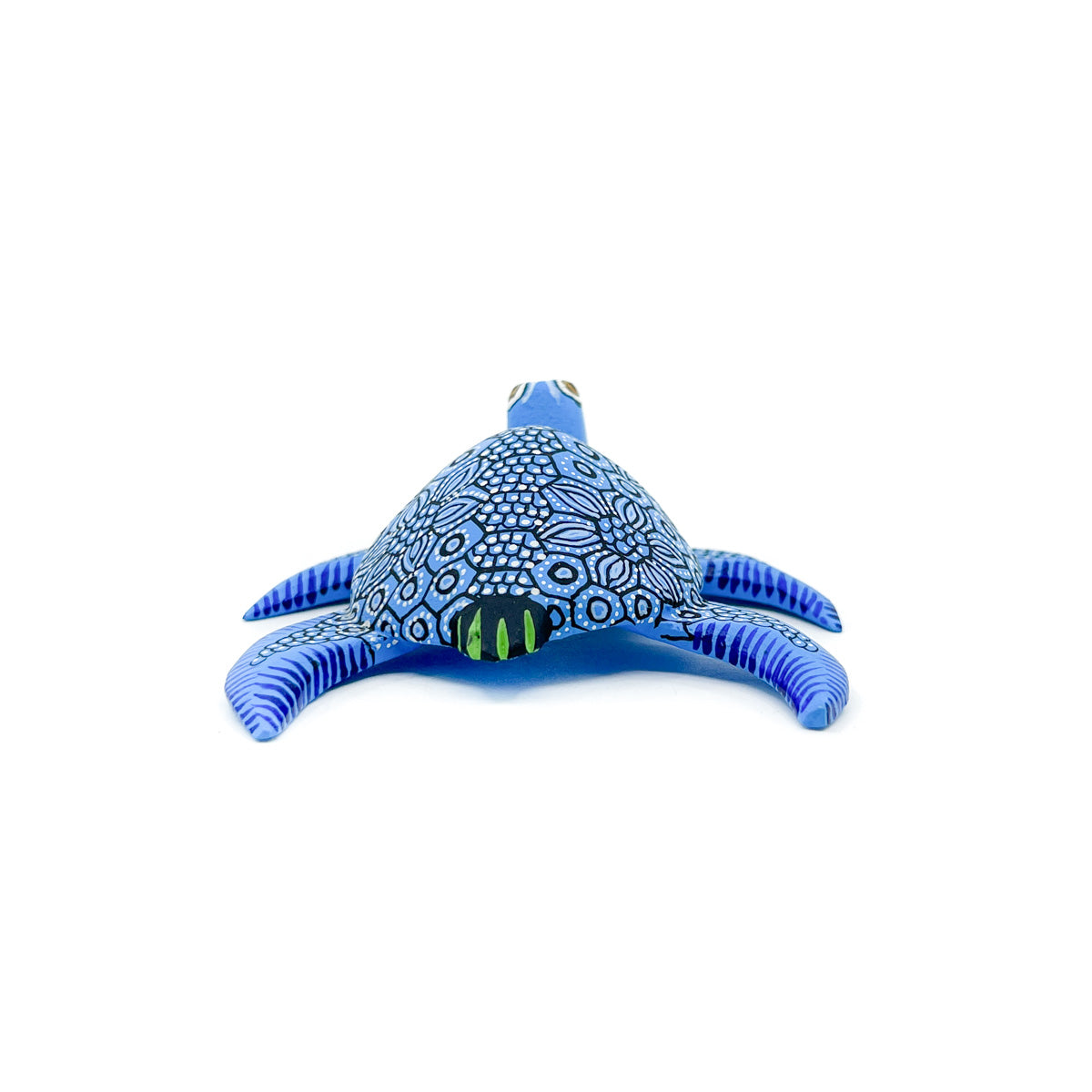 Bright Blue Sea Turtle