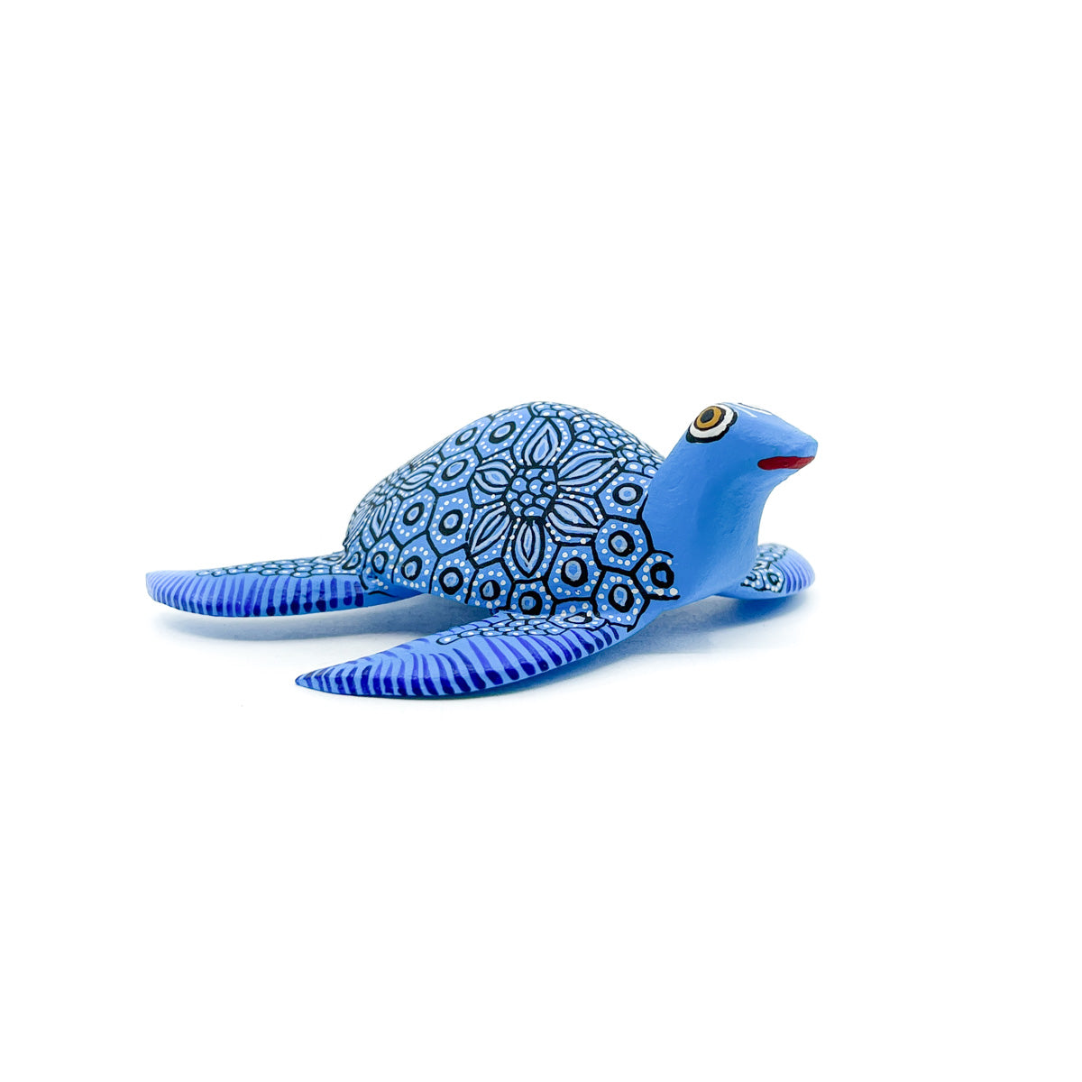 Bright Blue Sea Turtle