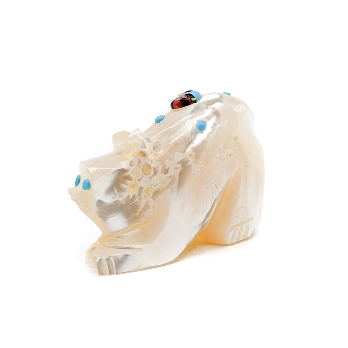 Beautiful White Bear Fetish by Danette Laate