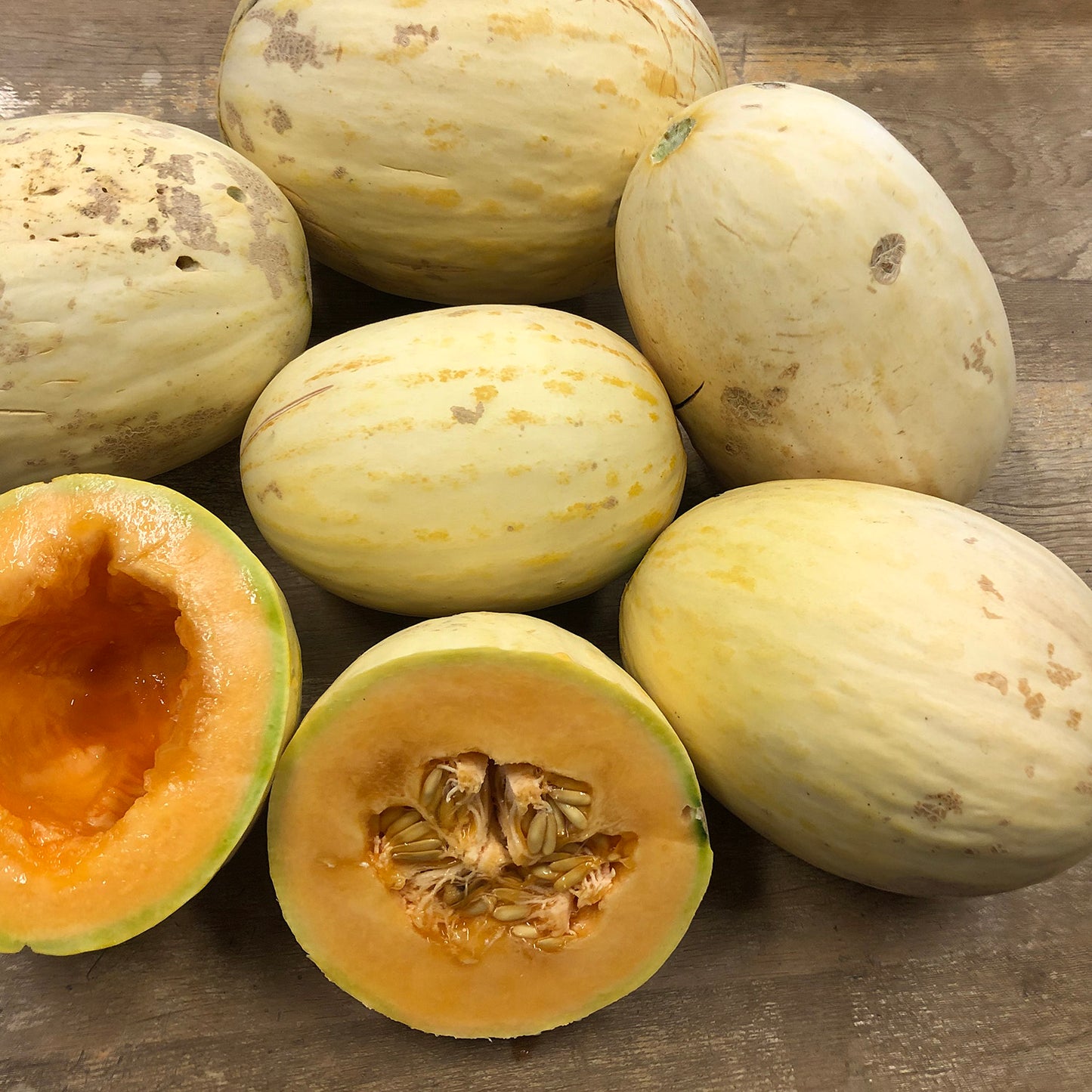 Melon de Castilla