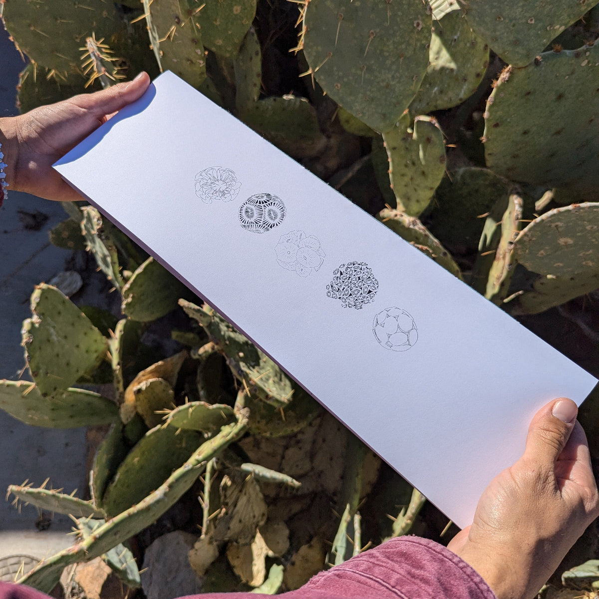 Lunar Tracker Calendar - 2025 Limited Edition ON SALE!