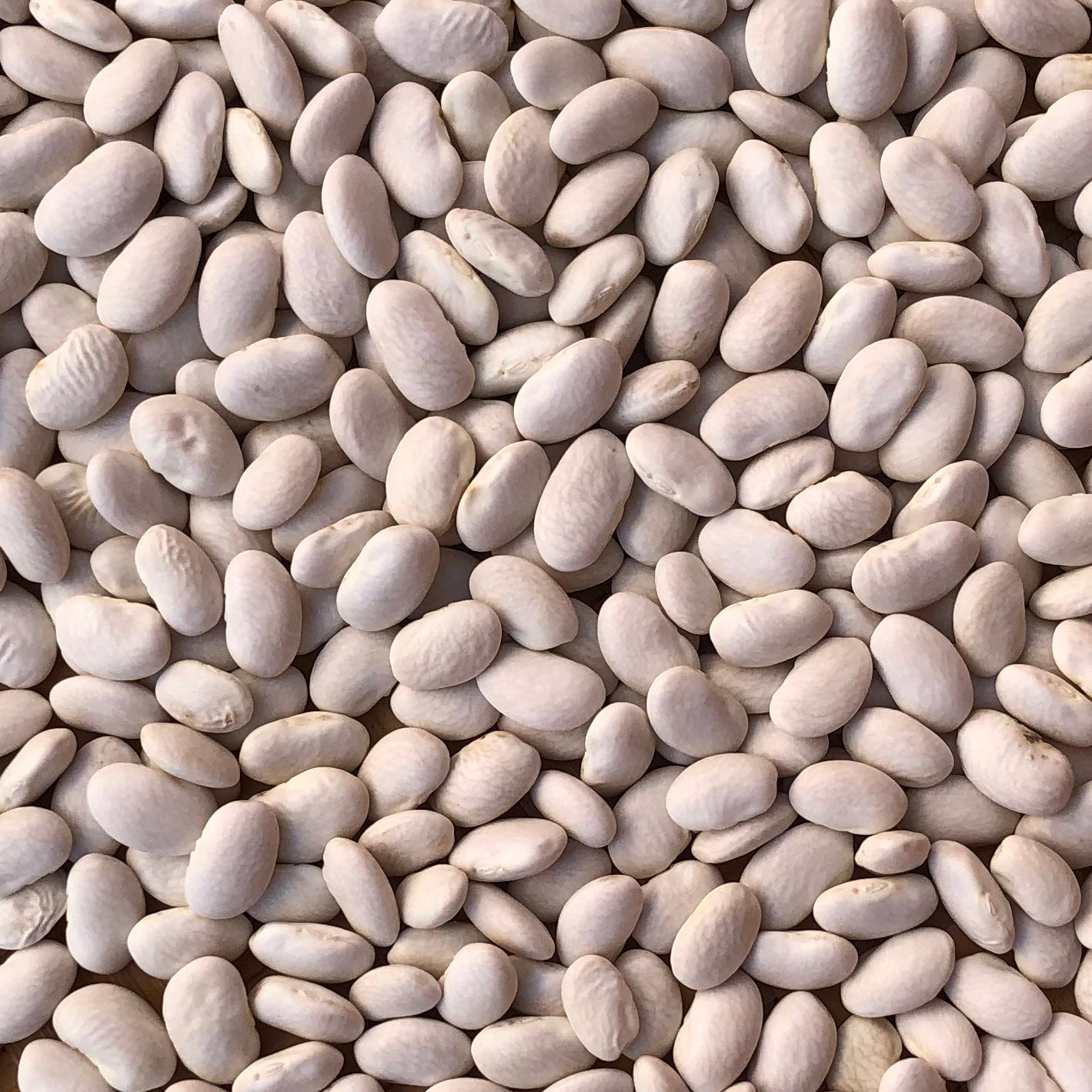 Pecan Mori